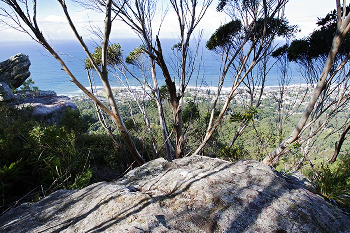 Illawarra Escarpment State Conservation Area Draft Amendment to the Plan of Management: Establishing accommodation for the Great Southern Walk