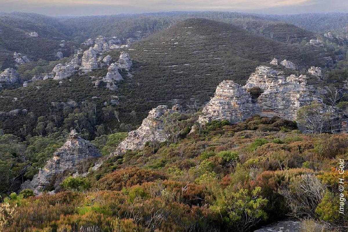 Blue Mountains Conservation Society urges State Government to reconsider plans for a lookout of the Lost City in Lithgow